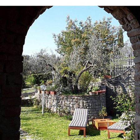 Bed and Breakfast La Collina Degli Olivi Карминьяно Экстерьер фото