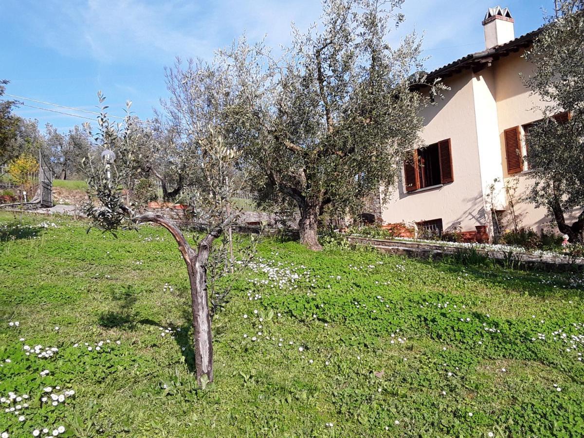 Bed and Breakfast La Collina Degli Olivi Карминьяно Экстерьер фото